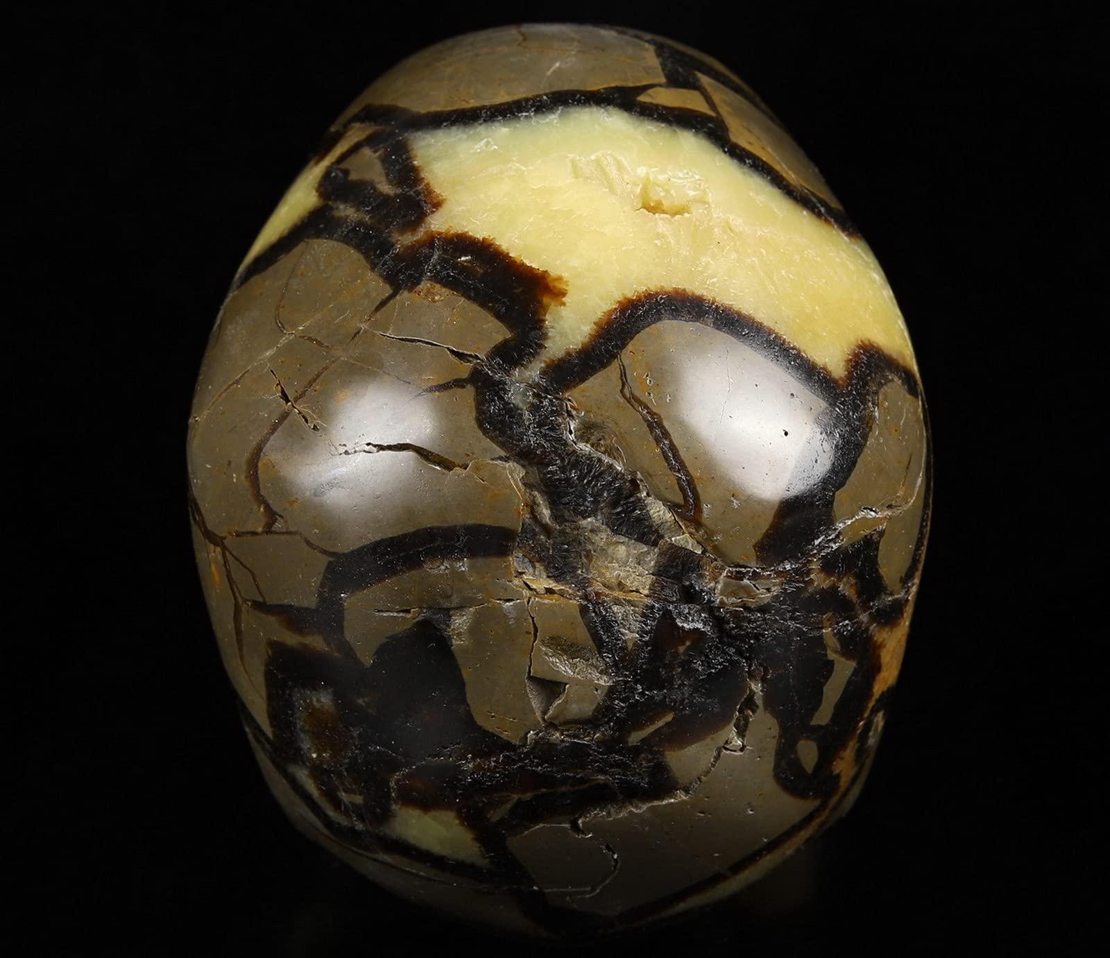 Skullis Skullis 5.0" Dragon Septarian Stone Hand Carved Crystal Skull, Super Realistic, Crystal Healing, Hand Carved Gemstone Fine Art Sculpture, Reiki Healing Stone Statue.1133 Z8