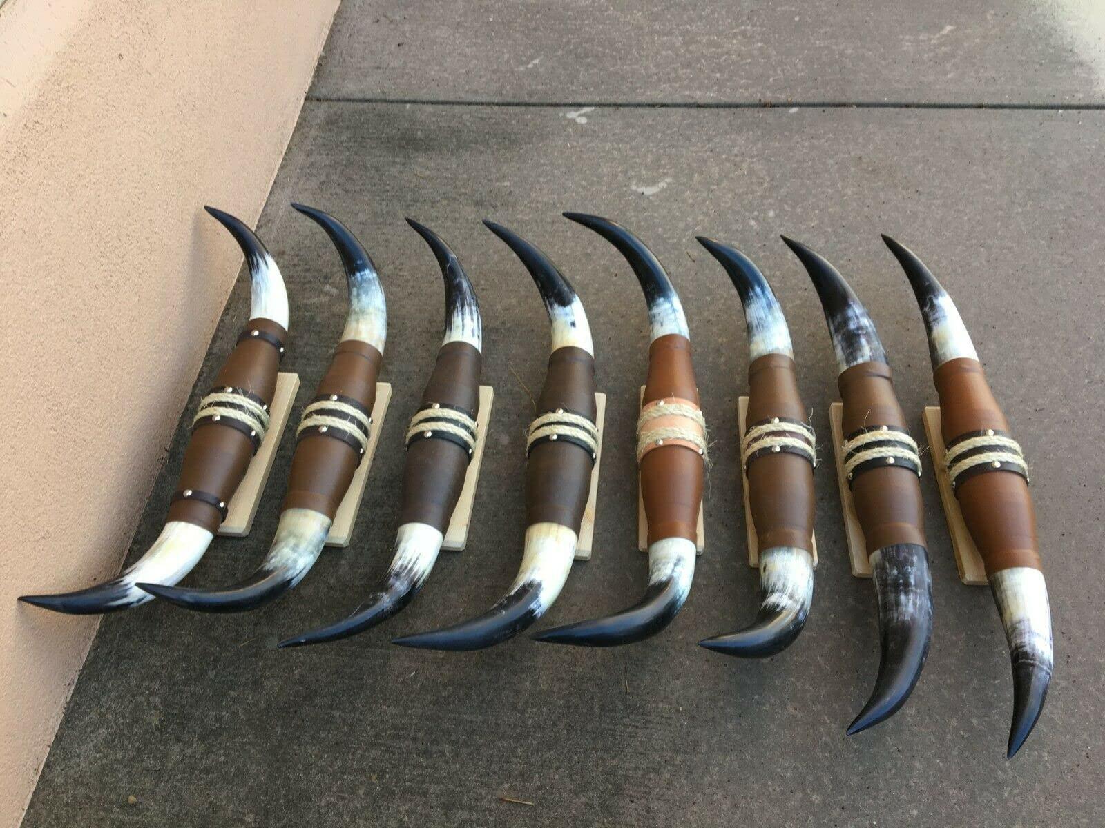 TruBlu Supply Real Mounted 27" inches - 32" Steer Cow Bull Texas Long Horns (One Set Only) Longhorn (27 inch - 32 inch)