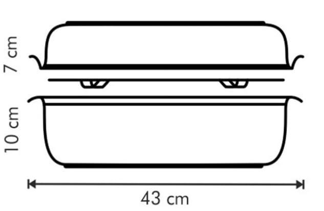 Tescoma Tescoma Exclusive Roaster with Cover, 36 x 24cm