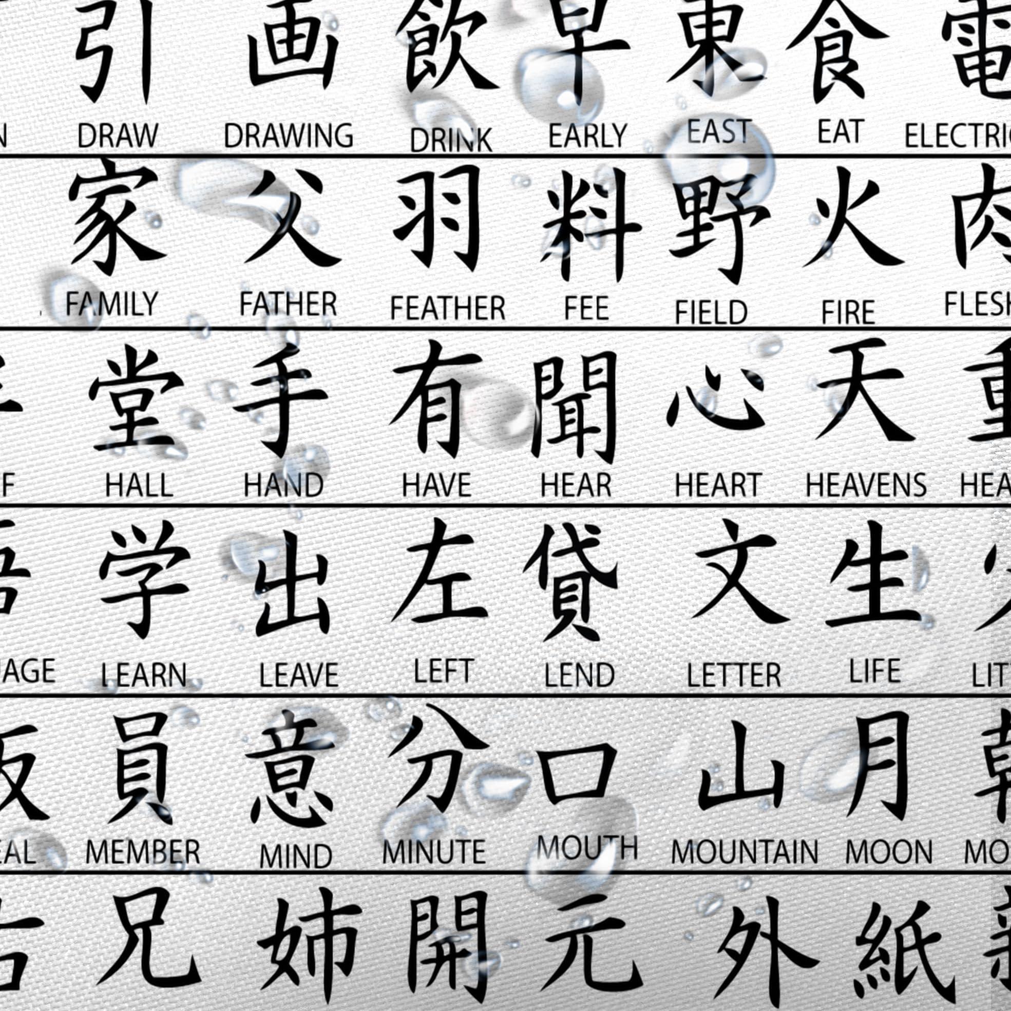 JAWO JAWO Japanese Shower Curtain, Hundreds of Japanese Kanji Characters with Translations Underneath, Polyester Fabric Bath Curtains Set with Hooks 36x72