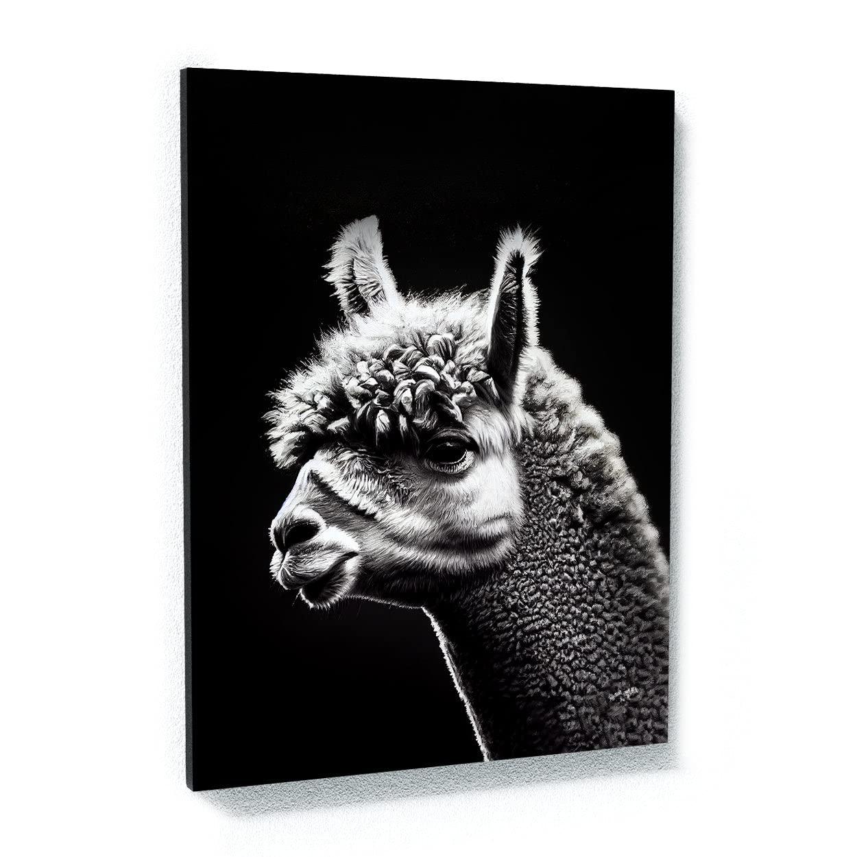 Sense Canvas Sense Canvas Alpaca 2 Canvas Art - Home Decor Wall Art Print Poster Painting X-Large 36x48 / 0.75\"