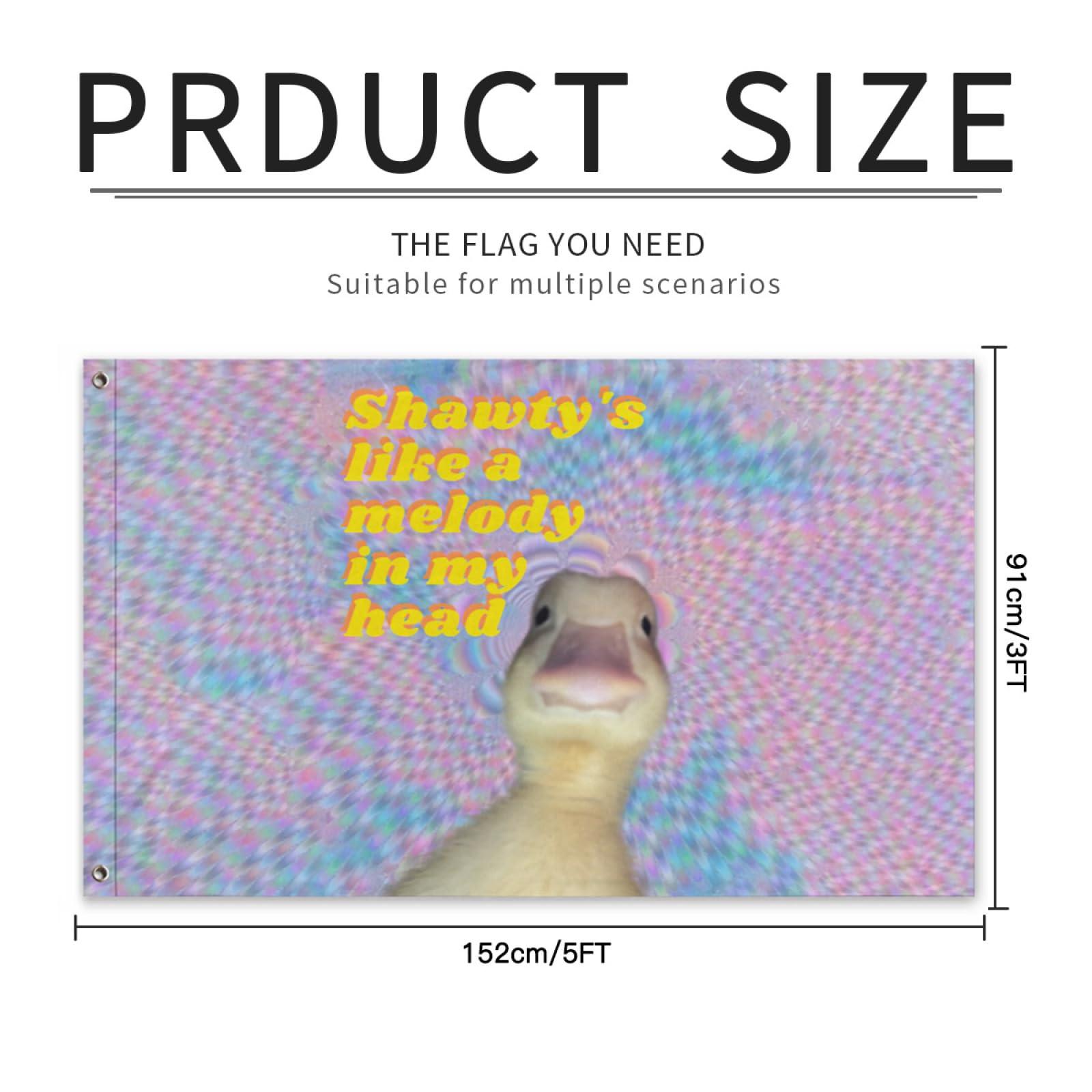 Conank Conank Funny Music Duck Meme Flag Fun Goose Tapestries Poster Wall Decor Garden Yard Banners for College Dorm Bedroom 5x3Ft with 2 Brass Grommets Party Supplies