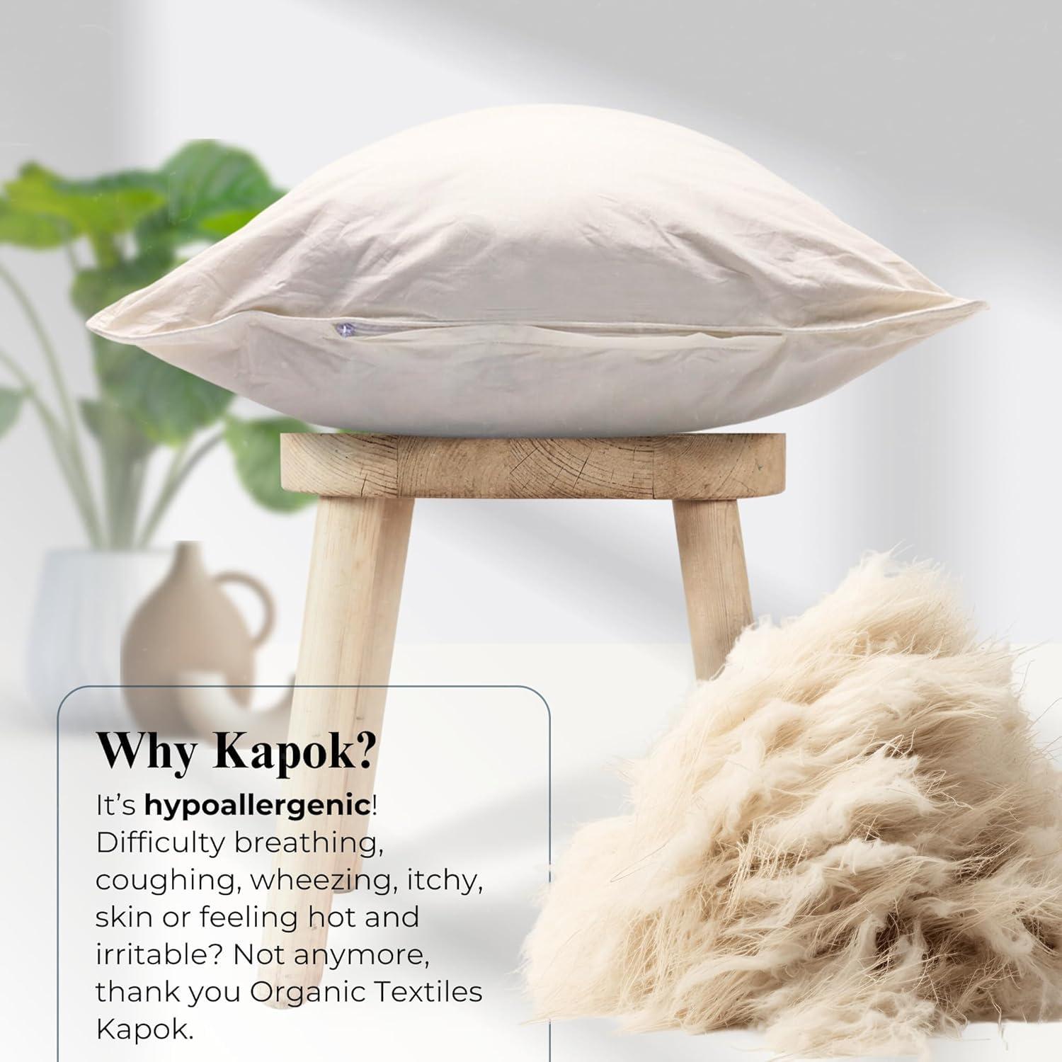 A. O. Smith A.O. Smith B2853 1 HP, 3450 RPM, 1 Speed, 230/115 Volts, 6.6/13.2 Amps, 1.25 Service Factor, 56Y Frame, PSC, ODP Enclosure, Square Flange Pool Motor