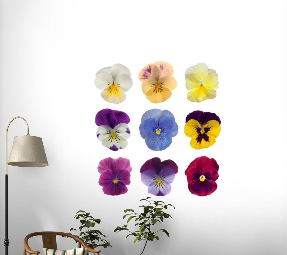 Progress Lighting Progress Lighting Alexa Collection 4-Light Etched Umber Linen with Clear Edge Glass Modern Bath Vanity Light Antique Bronze