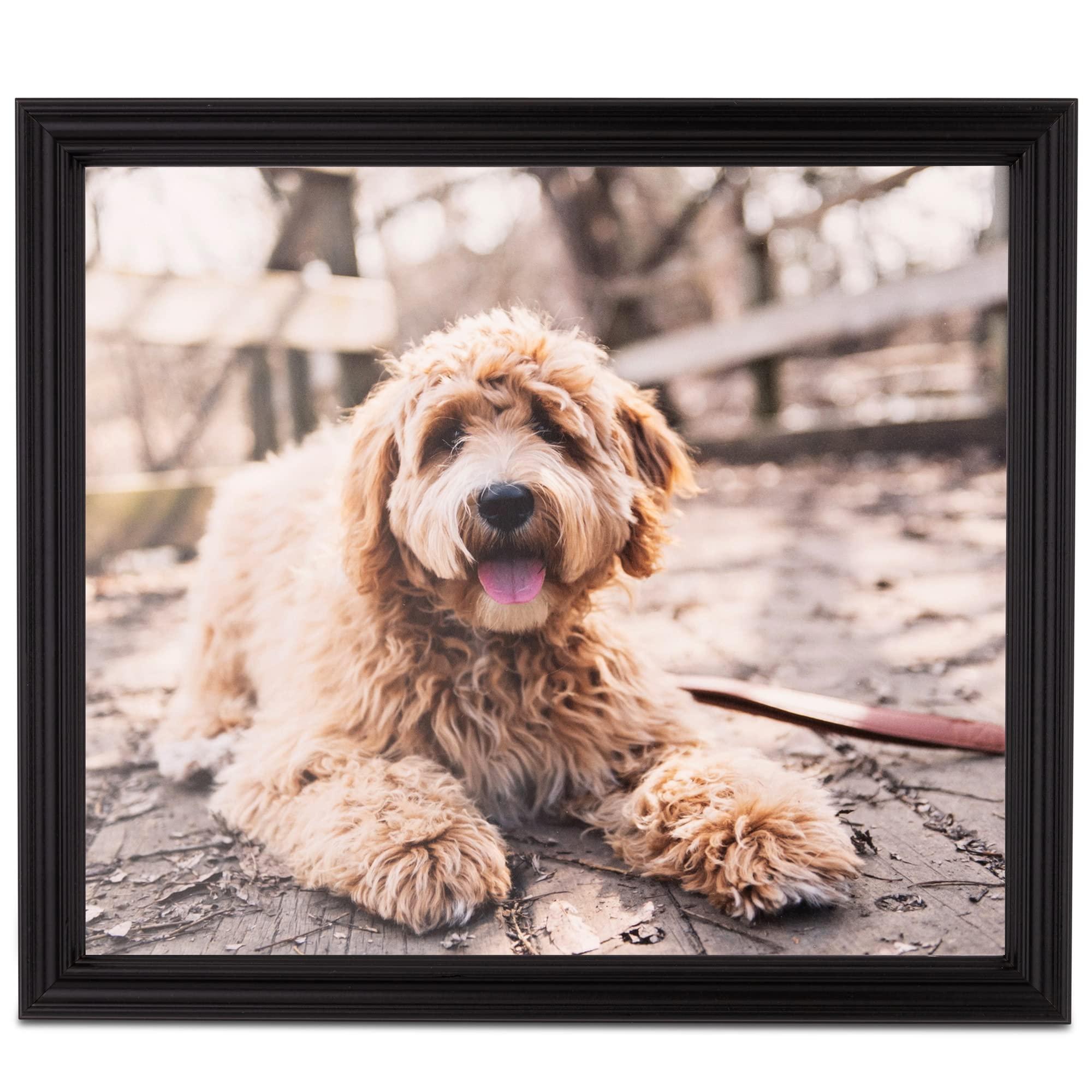 ArtToFrames ArtToFrames 60x90 CM / 23.62x35.43 INCH Black Picture Frame, This 1.00 Inch Custom Wood Poster Frame is Black - Comes with Economy Acrylic and Corrugated Backing (CMWOM0066-60823-YBLK-60x90)