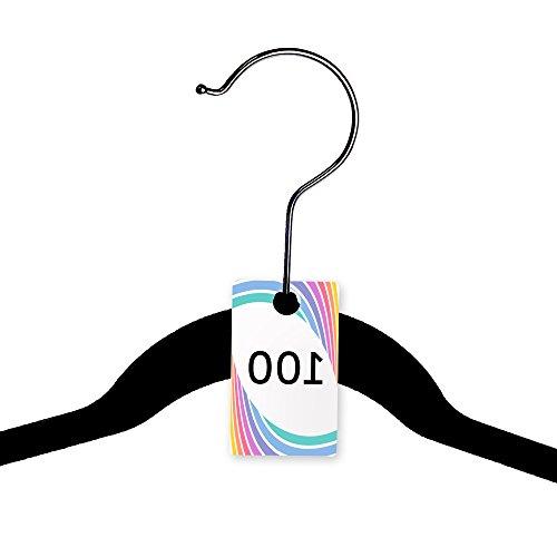Zilpoo Plastic Tags, 001-999 Number Series, Reusable Normal and Reverse Mirror Image Hanger Cards, Select a Set of 100 Numbers, (001-100)