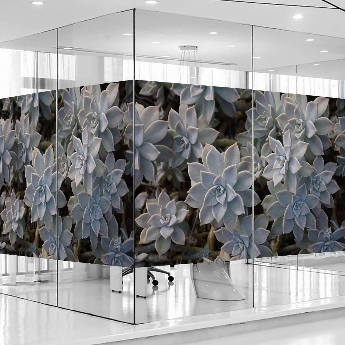 Generic Green Decorative Vinyl Window Film Frosted Glass Sticker Static Cling Window Covering for Privacy Decoration Cute Succulents Flower Desert Frosted Glass Film 27.6Wx47.2L-inch x2 Pcs