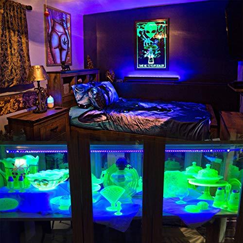 Exulight LED Black Light Bar, Exulight 10W T8 48 LEDs UV Led Tube Blacklight, Black Lights for Parties Halloween Body Paint Room Bedroom Décor Poster Lighting