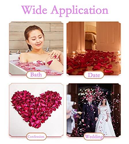 Bamboopack 100 Grams Dried Natural Real Red Rose Petals Real Flower Rose Petals for Bath Aromatherapy Wedding Party Decoration Crafts Accessories