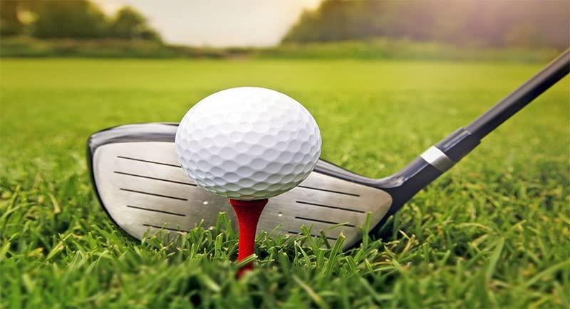 Mugzie Mugzie Deluxe Can Cooler (Made in USA) - Premium Neoprene Wetsuit Material Beverage Can or Bottle Insulator for 12oz Soda Drink Beer Cans - Golf Club & Ball