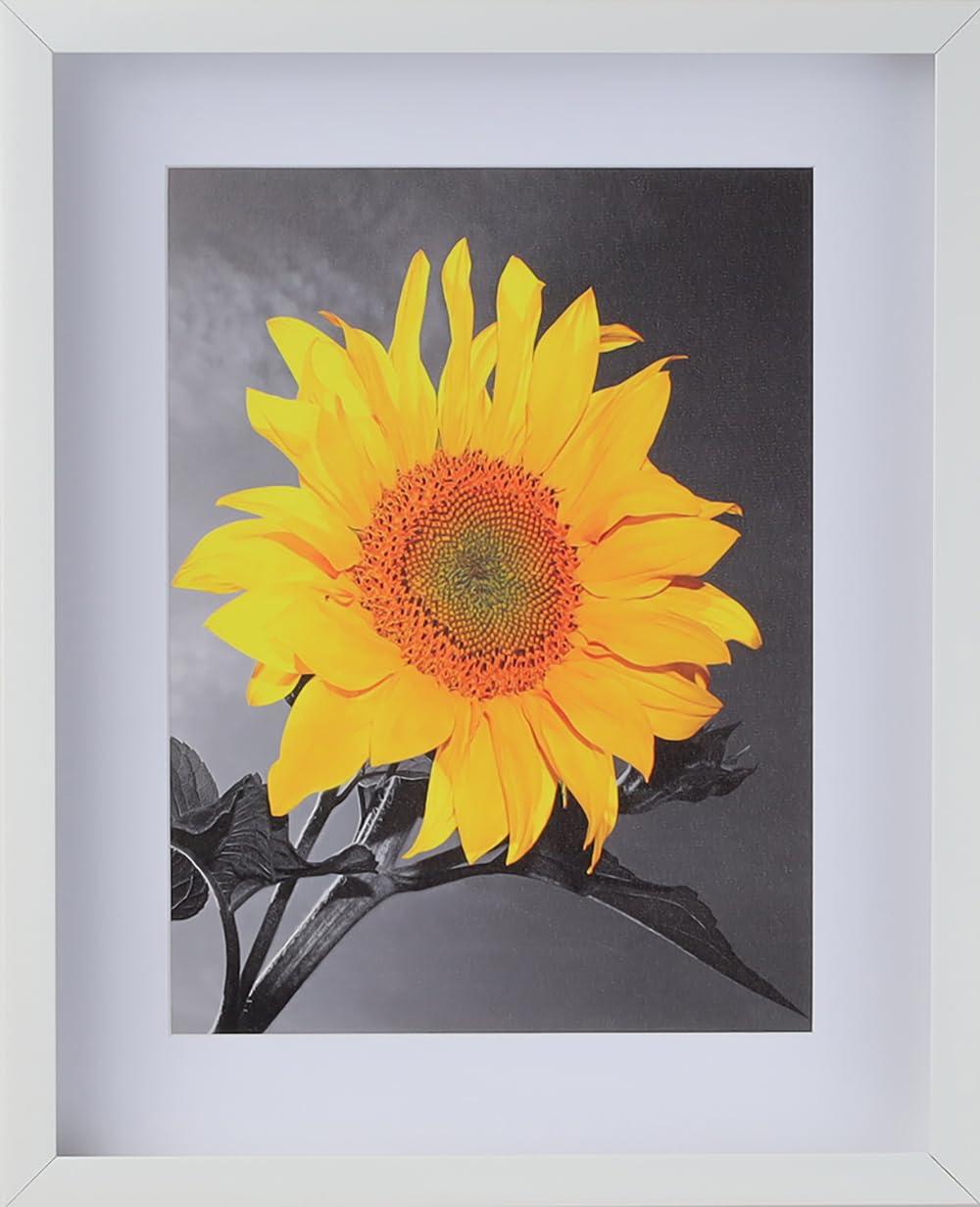 WHOLESALE ARTS AND FRAMES WHOLESALE ARTS AND FRAMES 2-3/16\" Deep Polystyrene Shadow Box Picture Frame - by WholesaleArtsFrames-com 13x13 2880 - White - American Made