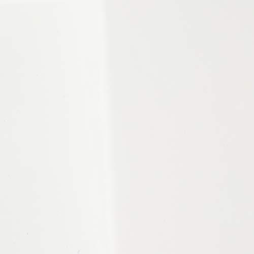 Zinus ZINUS Patricia White Metal Canopy Platform Bed Frame, Mattress Foundation with Steel Slat Support, No Box Spring Needed, Easy Assembly, Queen