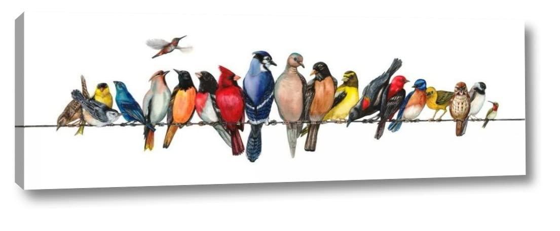 Canvas Art USA Large Bird Menagerie by Wendy Russell 12\" x 36\" Gallery Wrapped Canvas Wall Art Print - Ready to Hang
