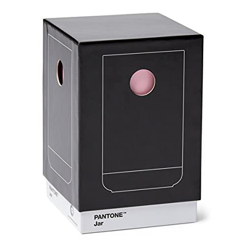 Pantone PANTONE Porcelain Vase with Gift Box, Jar, Decorative Flower Vase, 1 Litre, Light Pink 182C