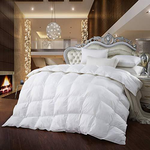 Egyptian Cotton Factory Outlet Store Egyptian Cotton Factory Outlet Store 800 Thread Count Light Weight Goose Down Comforter, White, King