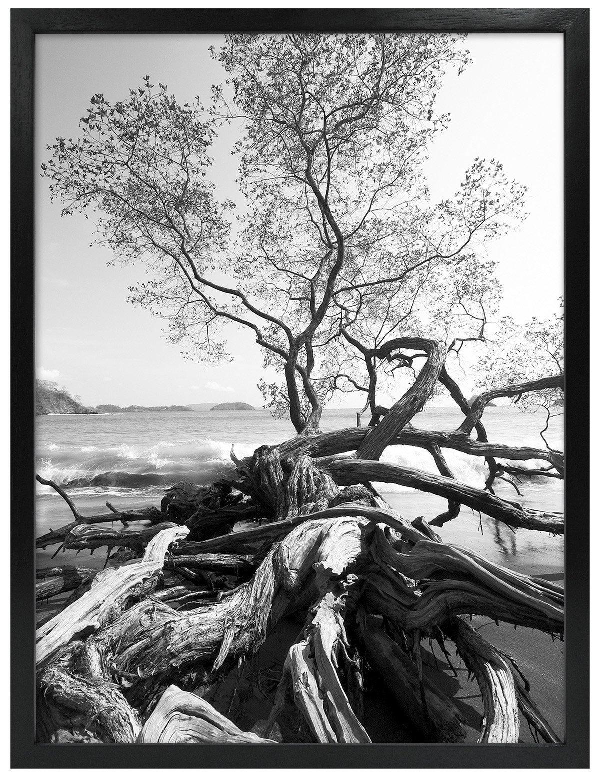 MCS MCS 24x36 Inch Art Shadow Box Frame, Black (47569)