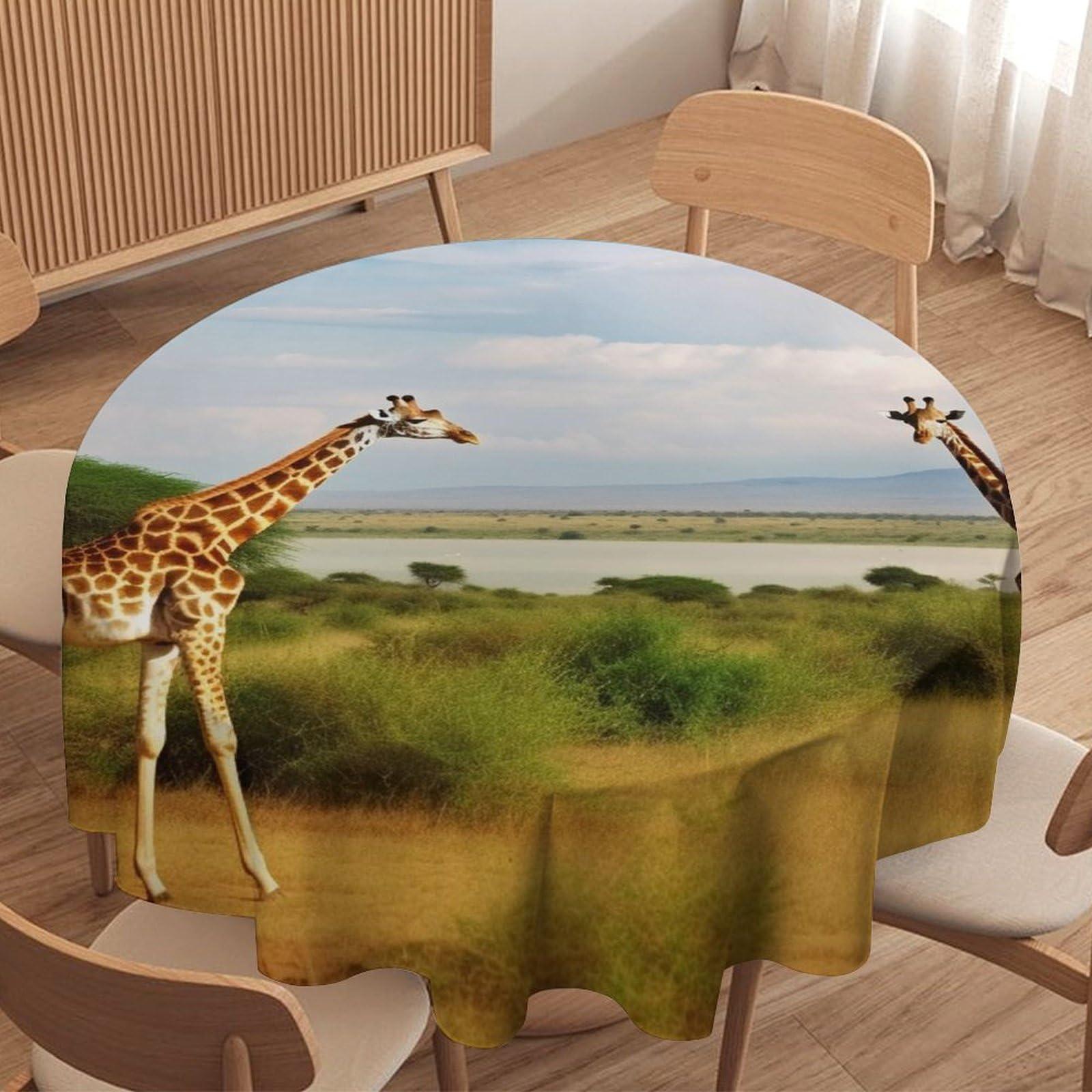 KAFFA ROASTER KALDI Coffee Roaster - Motor Drive Type (Roaster Only)