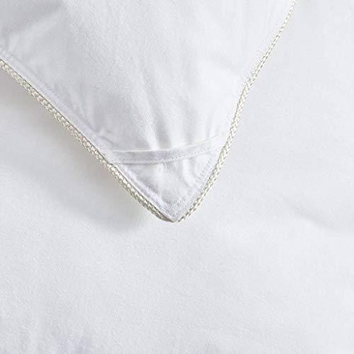 Egyptian Cotton Factory Outlet Store Egyptian Cotton Factory Outlet Store 800 Thread Count Light Weight Goose Down Comforter, White, King