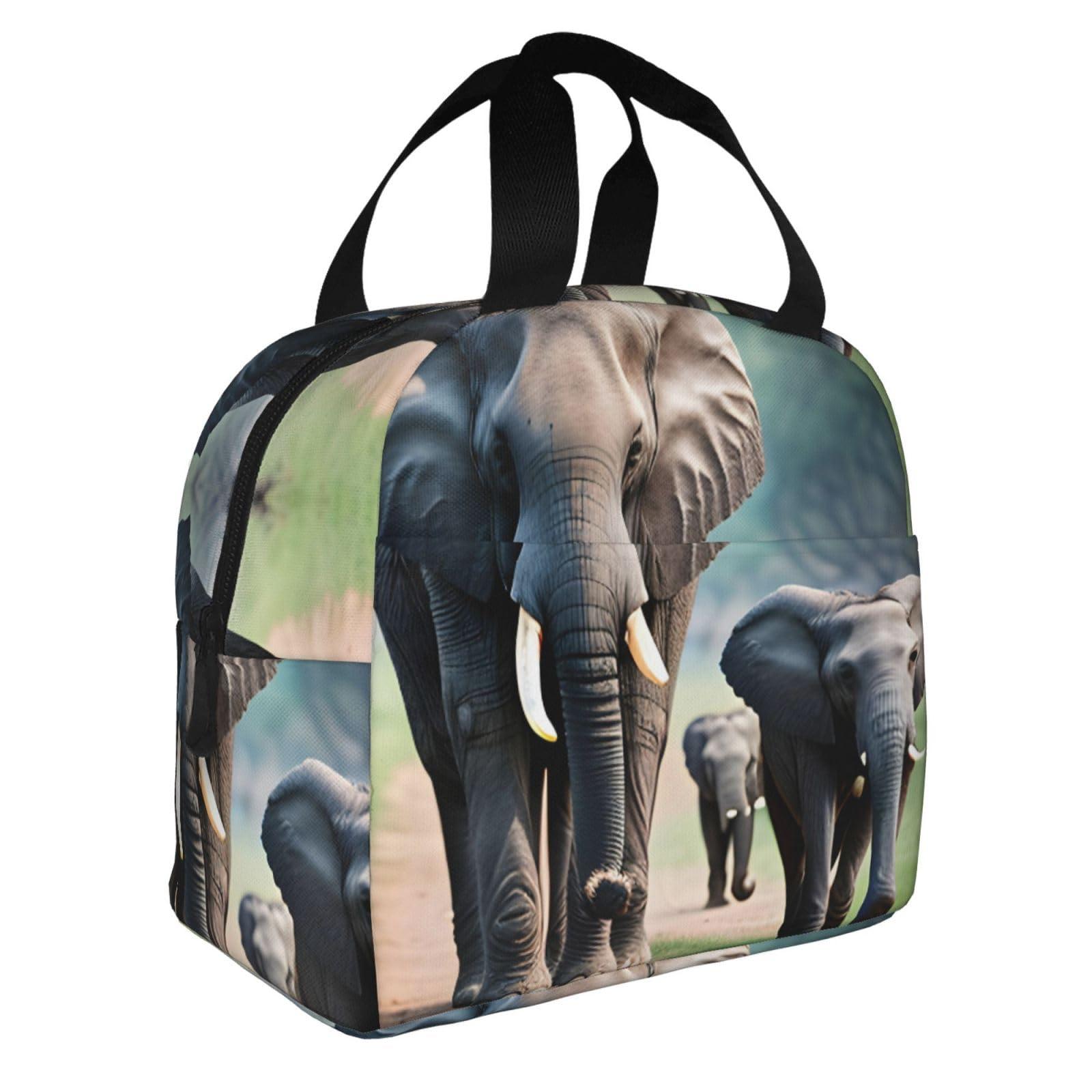 ZISHAK Elephant Family Lunch Bag Box Reusable Insulated Lunch Tote Bag,Leakproof Thermal Sack Food Case High Capacity