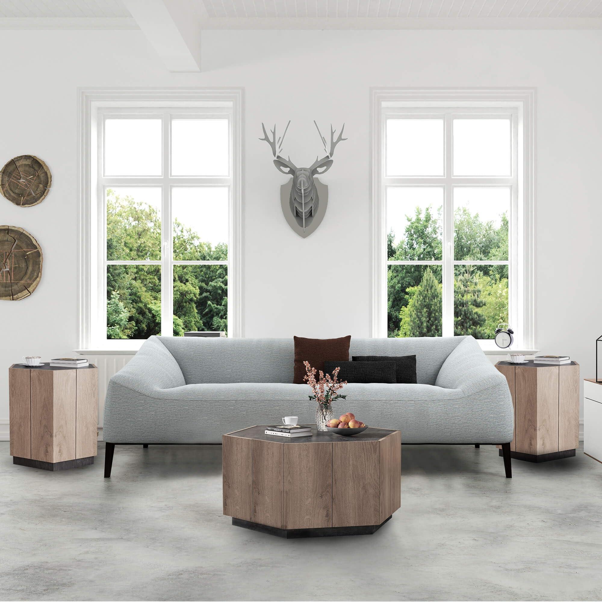 SAINTCY SANITCY Coffee Table Set of 3, 1 Pcs Hexagon Coffee Table and 2pcs End Tables Set with Drawers for Living Room Unique and Stylish Design Home Furniture