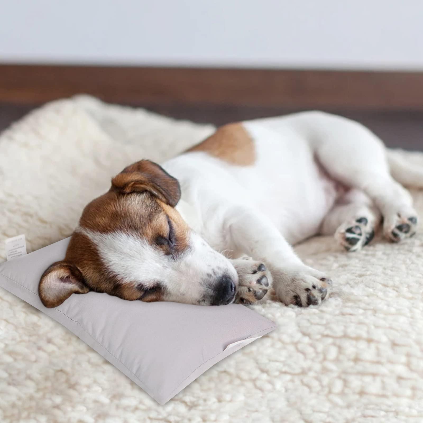 Pro Goleem Pro Goleem Small Pillow 11x6x2.5 Small Pillows for Sleeping and Traveling Mini Pillow with Name Tag Tiny Pillow for Kids Pillow Neck Lumbar Knee Nap Pillow Pet Pillow, Gray