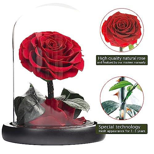 LOVAPPY LOVAPPY Eternal Enchanted Forever Preserved Rose - Infinity Rose in Glass Dome - Made from Real Fresh Beauty Rose - Romantic Gifts for Female - Valentines Day - Gift for Mom (Red, 6,5 inch)