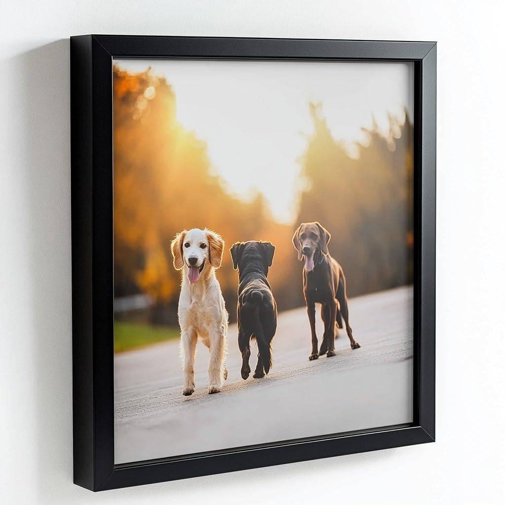 Generic 21x11 Black Picture Frames - Ready to Hang Solid Pine Wood Poster Frame - Photo Frame Polished Glass Front Clear Plexiglass Display Photograph - Hanging Hardware Included - Home wall Decor - 21 x 11