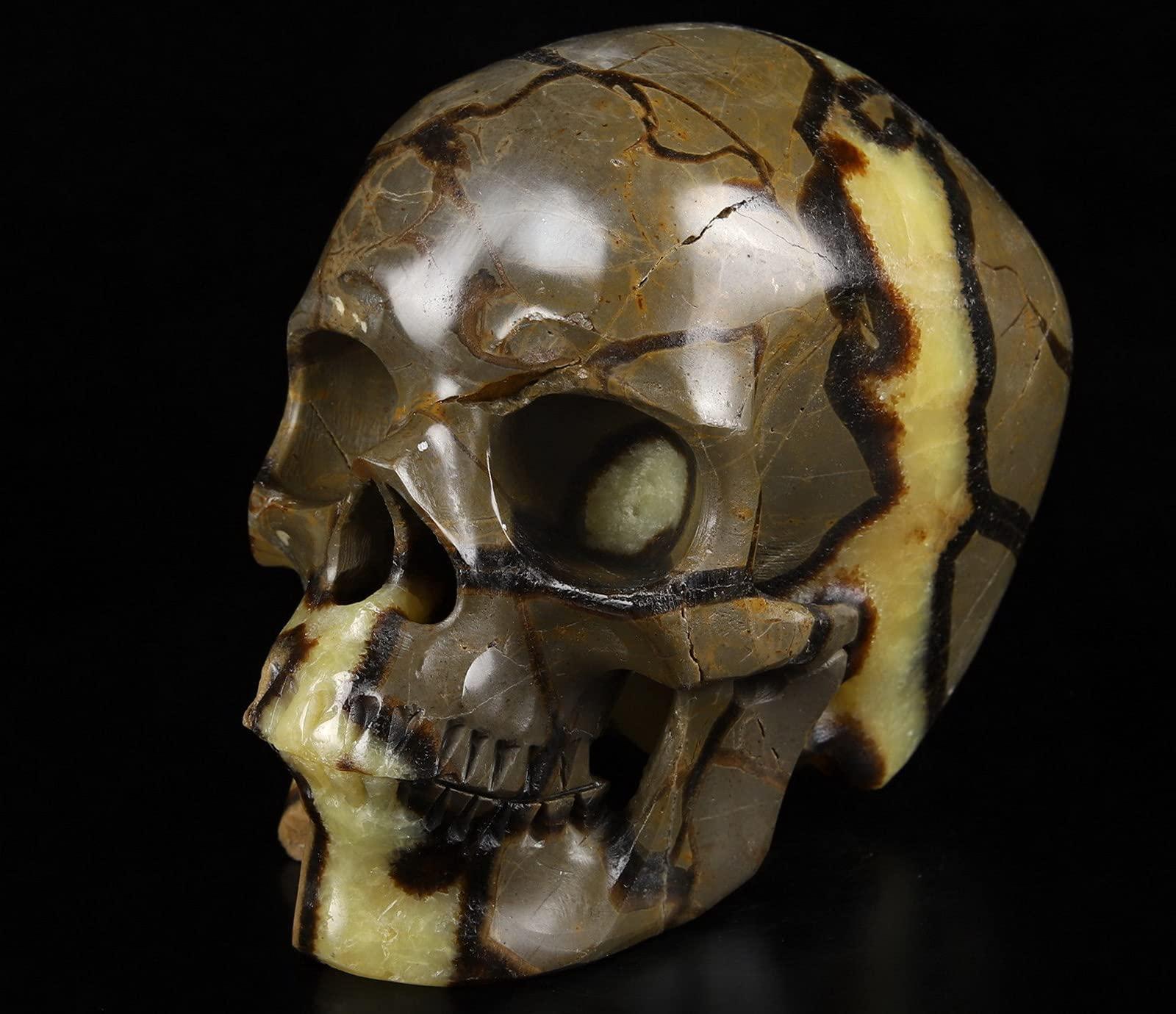 Skullis Skullis 5.0" Dragon Septarian Stone Hand Carved Crystal Skull, Super Realistic, Crystal Healing, Hand Carved Gemstone Fine Art Sculpture, Reiki Healing Stone Statue.1133 Z8