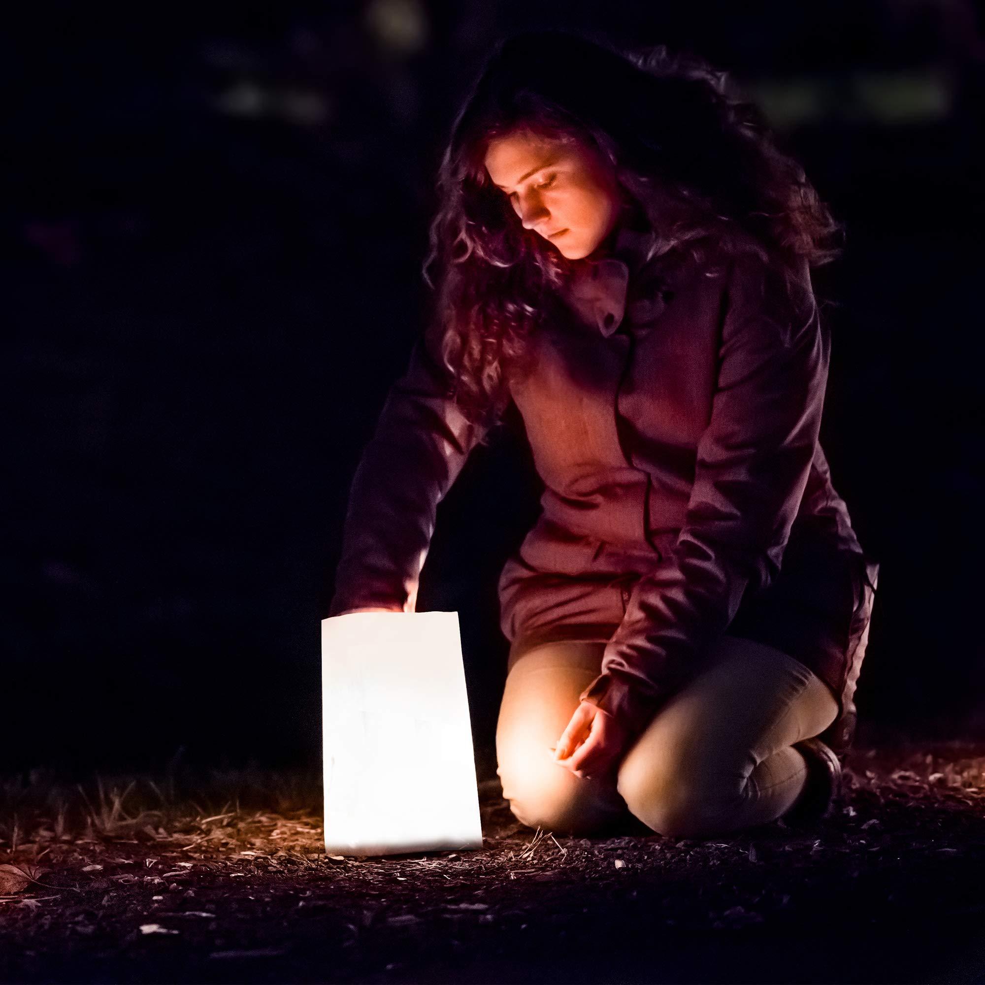 Lumabase LumaBase 41012 Flame Resistant Bag Paper Luminarias, White, 12 Count (Pack of 1)