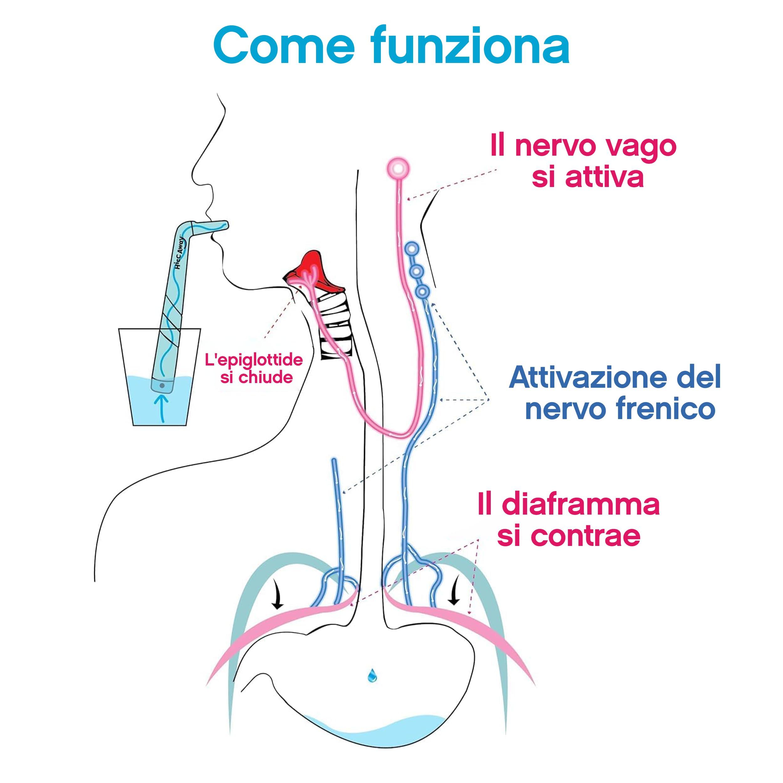 HICCAWAY HiccAway Hiccup Straw - Stops Hiccups Naturally & Fast - As Seen On Shark Tank - Clinically Proven Relief for All Ages, Children & Adults - Safe, Lightweight, & Reusable (HiccAway Green) 1 Pack