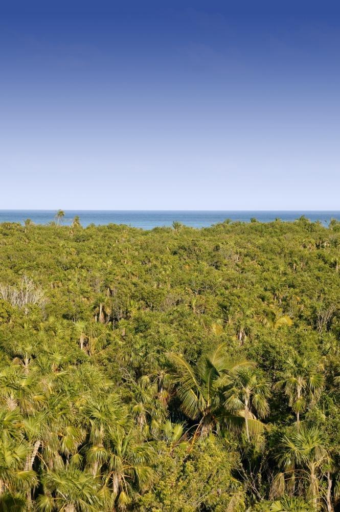 Pelmeni Maker PELMENI MAKER RUSSIAN DUMPLINGS ALUMINIUM MOLD 37