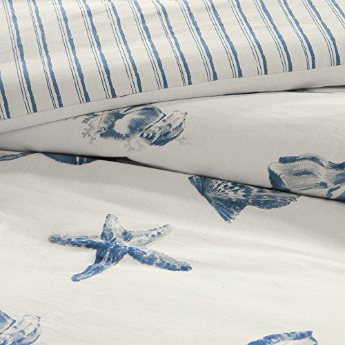 Harbor House Harbor House Cozy Cotton Comforter Set - Coastal, All Season Down Alternative Casual Bedding with Matching Shams, Decorative Pillows, Beach House, Reversible Seashell Blue Twin(72"x90") 3 Piece