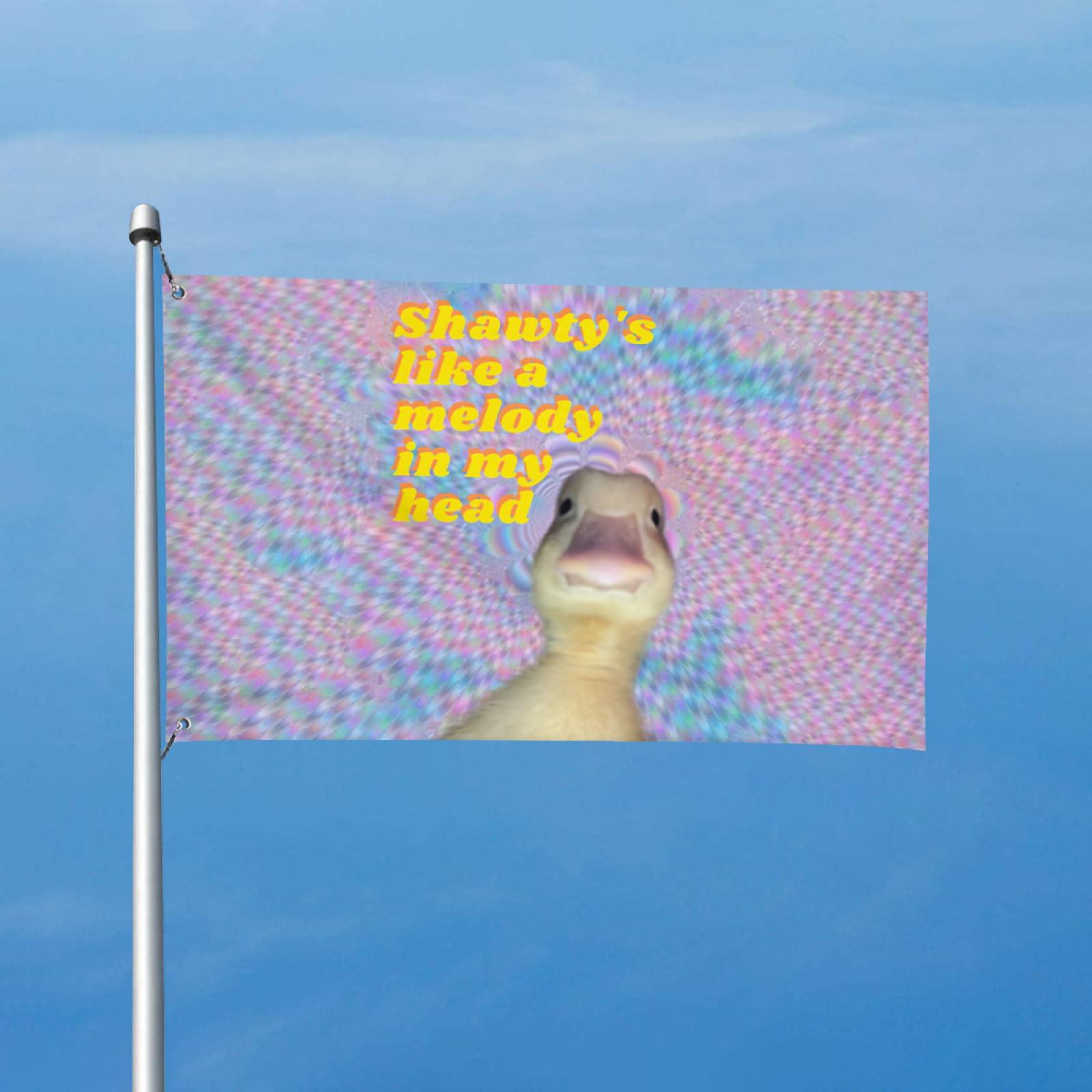 Conank Conank Funny Music Duck Meme Flag Fun Goose Tapestries Poster Wall Decor Garden Yard Banners for College Dorm Bedroom 5x3Ft with 2 Brass Grommets Party Supplies