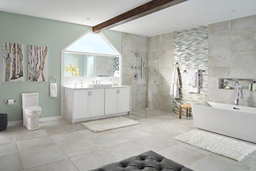 American Standard American Standard 7353210.002 Townsend Double Robe Hook, Polished Chrome