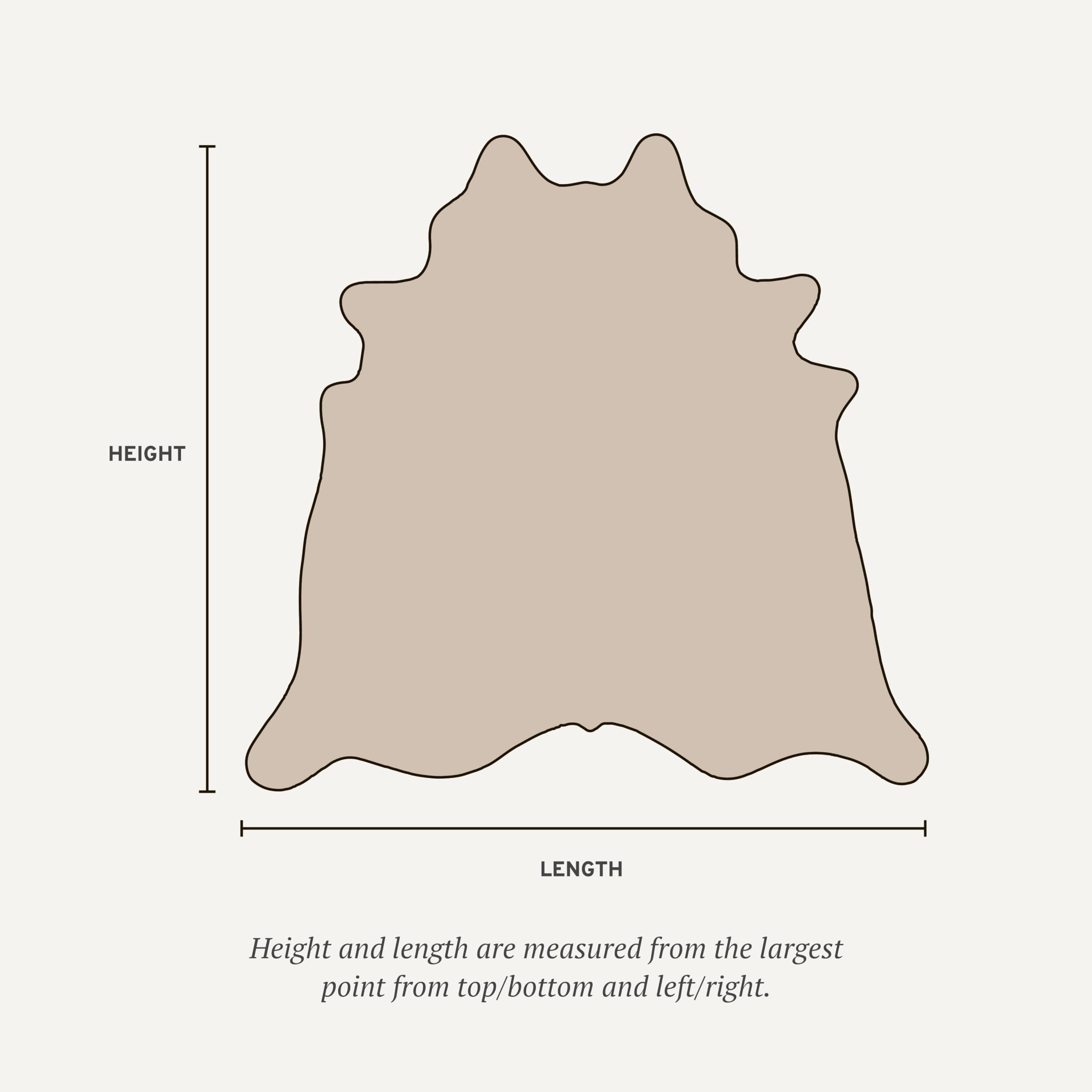 ecowhides Zebra Print Cowhide Rug Genuine Leather in Gold Metallic, for Living Rooms, Bedrooms, or Offices