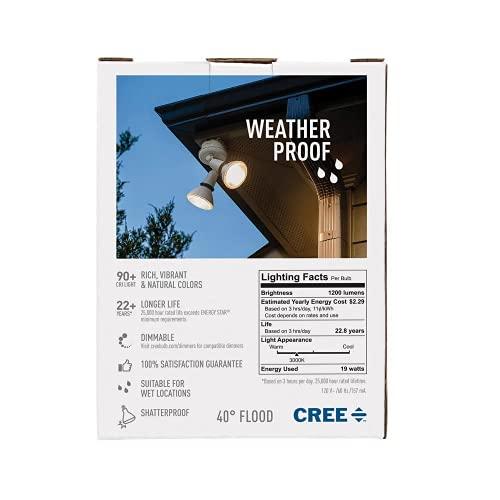 Cree Lighting Cree Lighting Exceptional Series PAR38 Bulb, 3000K Dimmable LED Bulb, 120W + 1200 Lumens, Bright White, 1 Pack