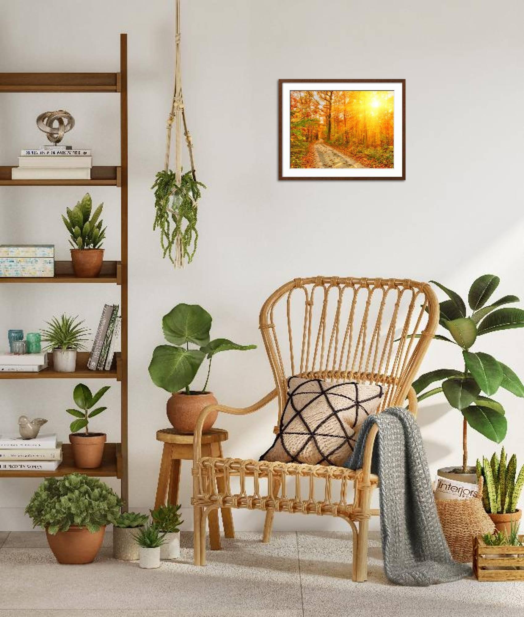 ART.COM ART.COM Framed Wall Art Prints Pathway through the Autumn Forest by sborisov, Scenic Decor, 24\" x 18\", Espresso Frame with White Mat