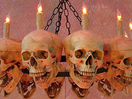 Skeletons And More Skeletons And More Skull Chandelier w/ 12 Skulls