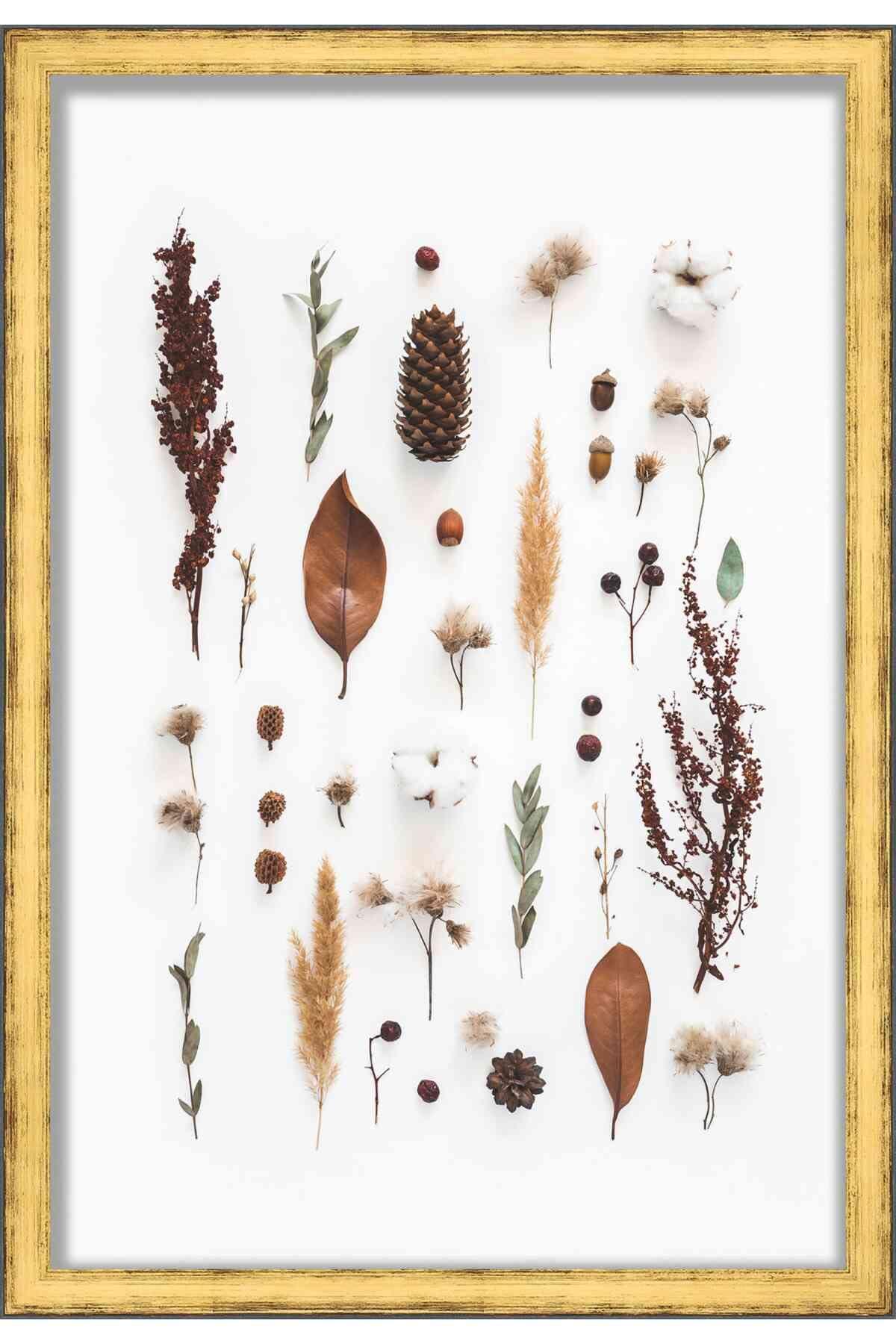 Poster Palooza 17x23 Gold Shadowbox Frame - Shadow Box Frame Interior Size 17x23 by 1.25 Inches Deep - Gold Frame Made to Display Items Up to 1.25 Inches Deep! Includes Shatter Resistant Acrylic, Backing, Hardware