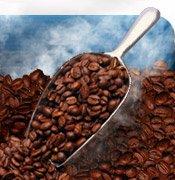 Jersey Shore Coffee Roasters Bali Blue Moon Whole Bean Coffee