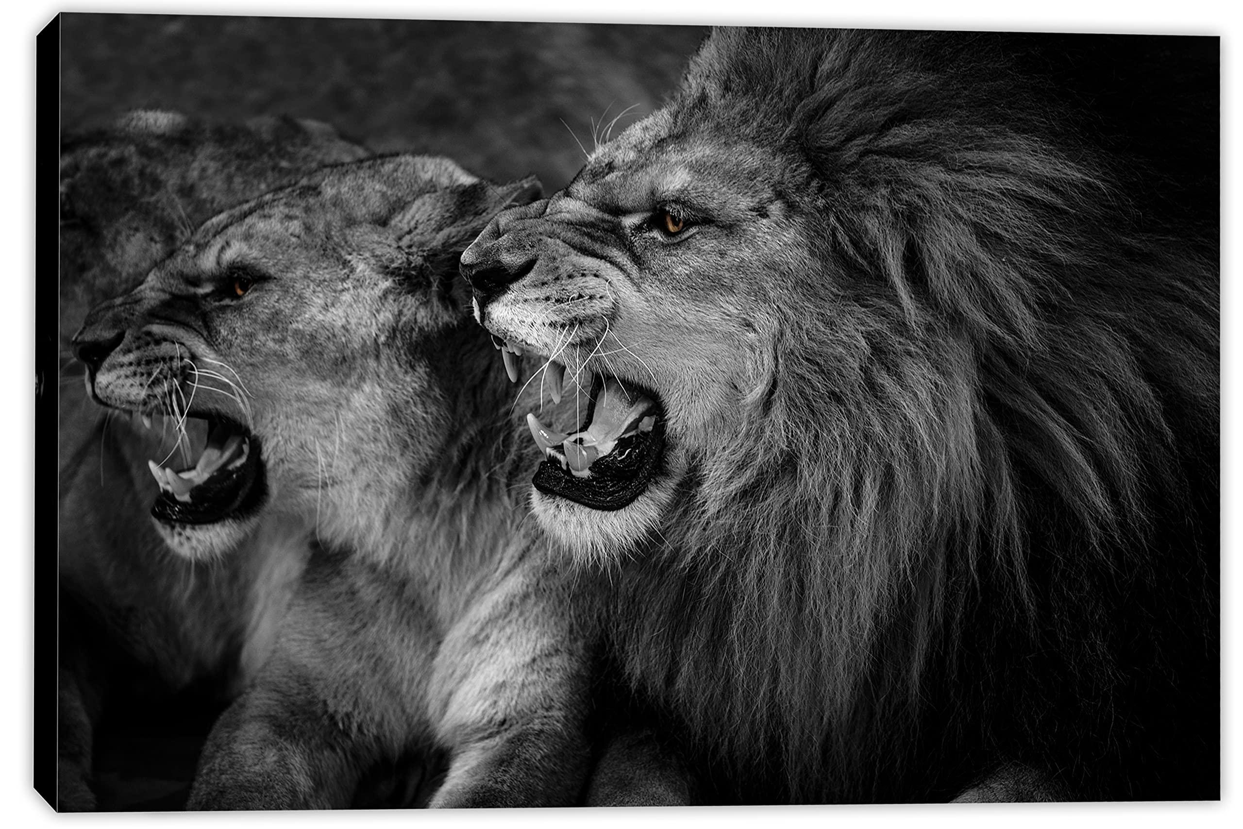 CountryArtHouse CountryArtHouse 27x38 Frame Black Barnwood Picture Frame Includes UV Acrylic Plexiglass, Acid Free Foam Backing Board and Hanging Hardware