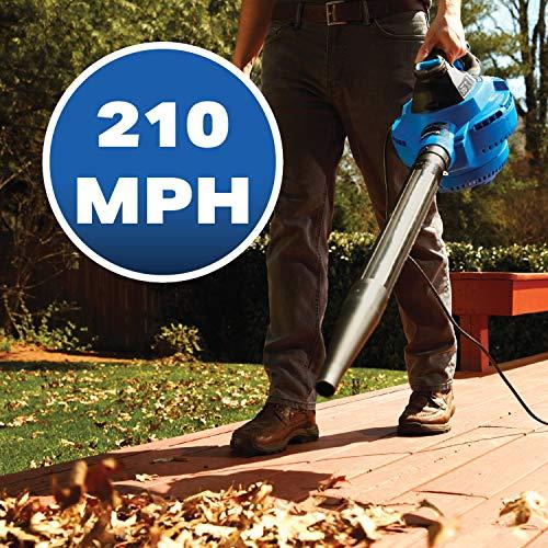 Vacmaster Vacmaster VBV1210, 12-Gallon* 5 Peak HP** Wet/Dry Shop Vacuum with Detachable Blower, Blue