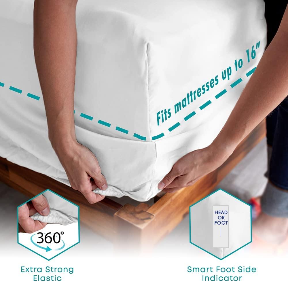 FEATHER & STITCH NEW YORK Feather & Stitch Softest 100% Cotton Sheets, 300 Thread Count Percale Weave Bedding, 16\" Deep Pocket, Cooling Sheets, Breathable Bed Set, Hotel Premium Quality (Twin, Aqua Paisley)