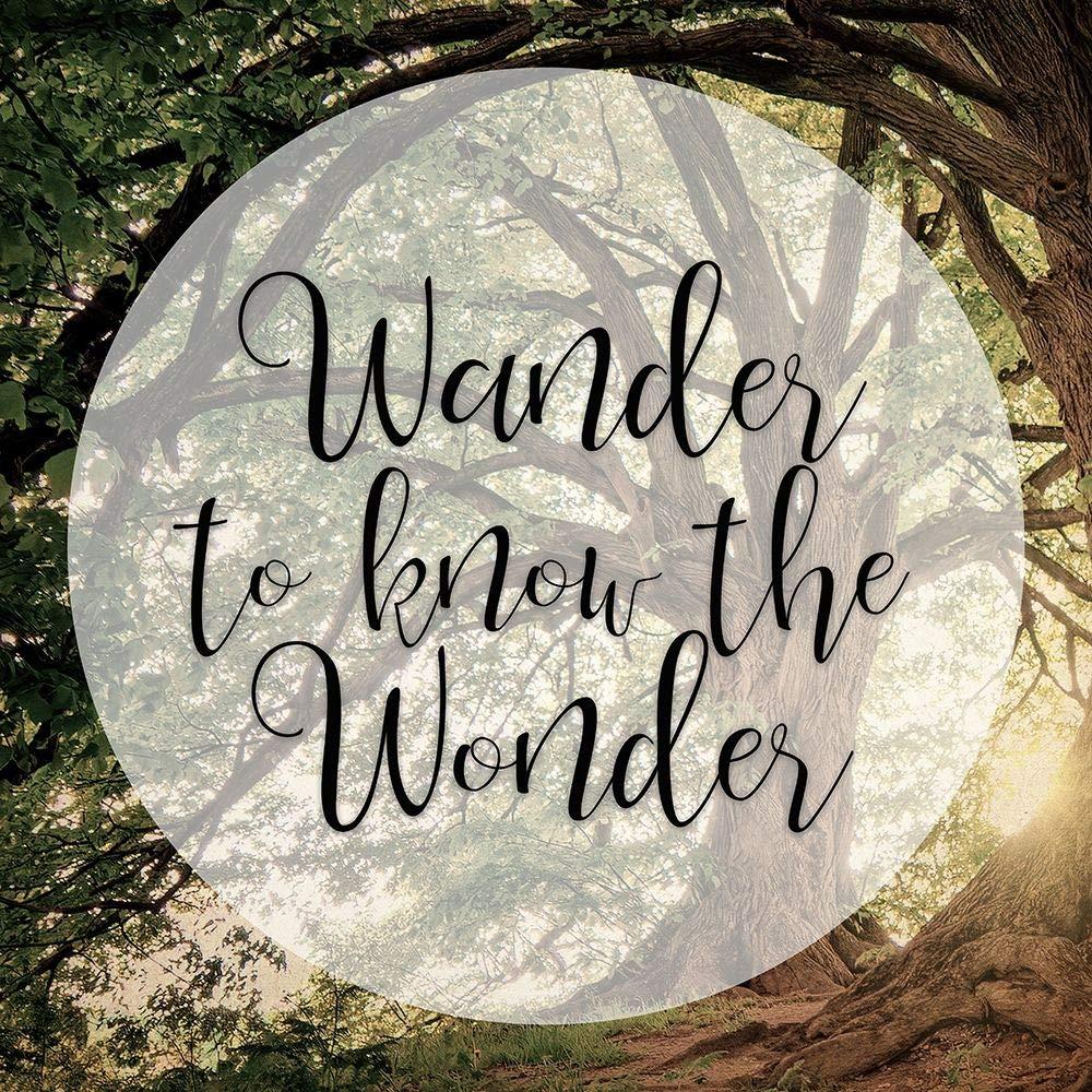 Posterazzi Posterazzi PDXBASQ028BLARGE Wander Wonder Photo Print, 24 x 24, Multi