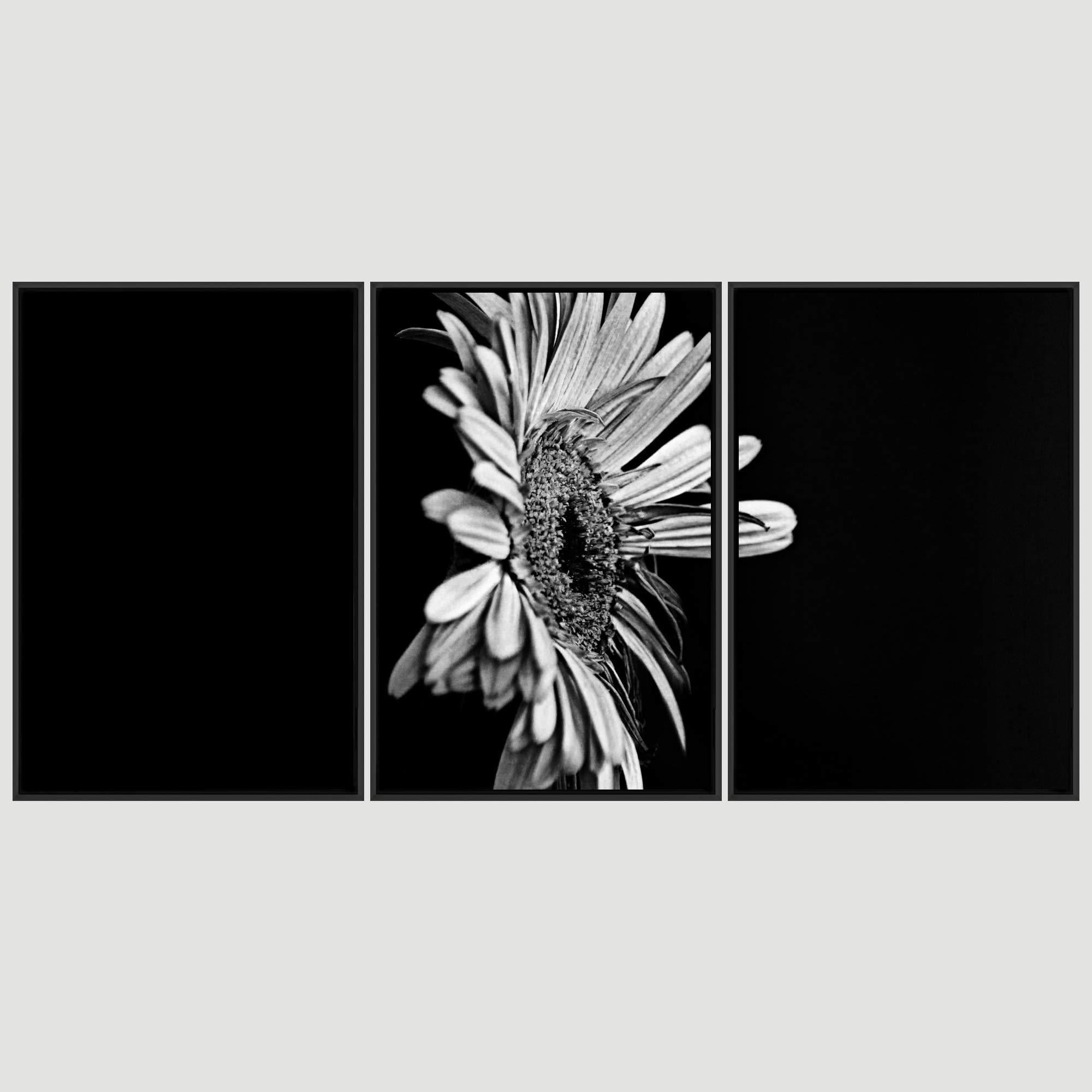 SIGNWIN SIGNWIN 3 Piece Framed Canvas Wall Art Black and White Botanical Canvas Prints Home Artwork Decoration for Living Room,Bedroom - 24\"x36\"x3 Panels