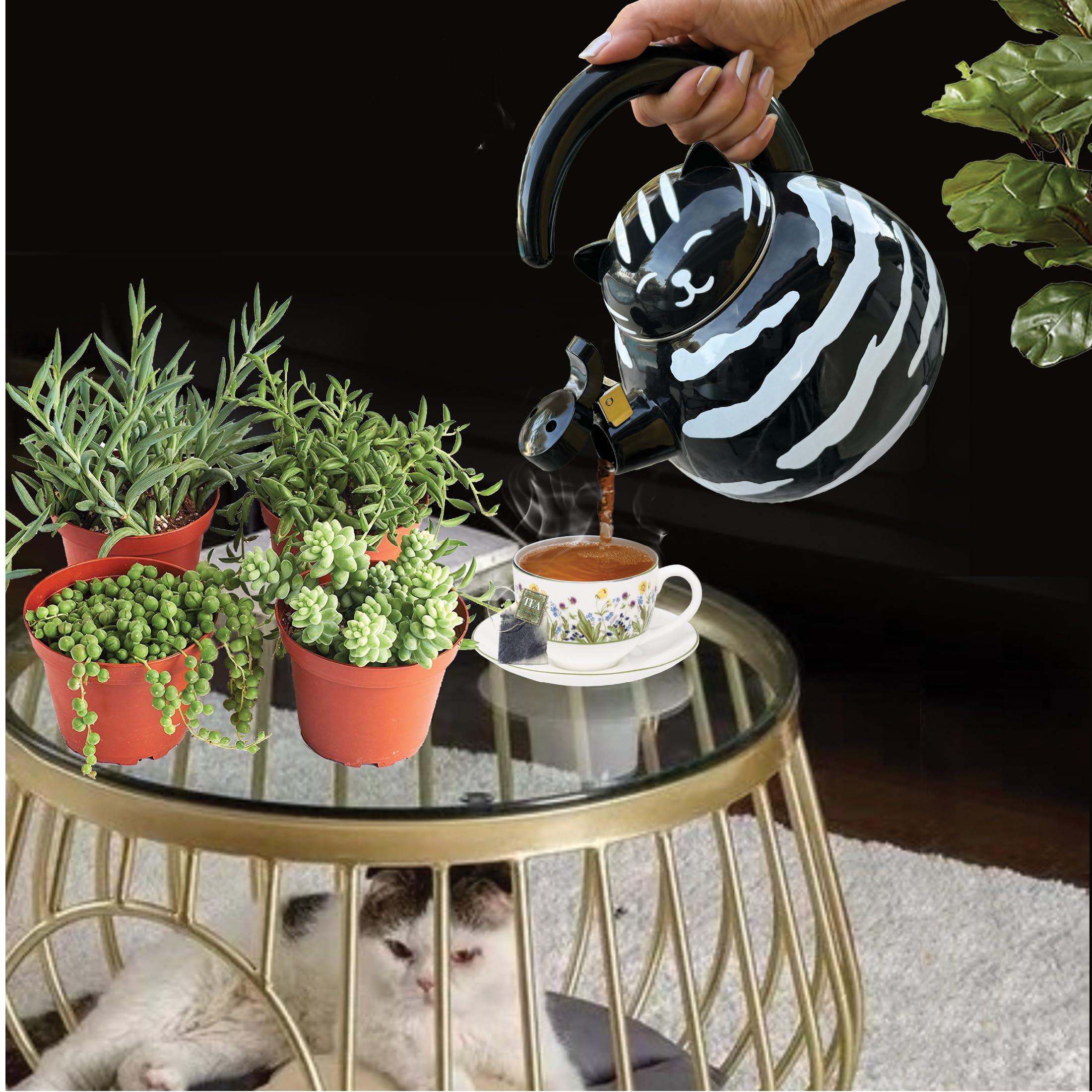 Trenton Gifts Trenton Gifts Whistling Tea Kettle - Enamel on Steel Black Cat Decor - Cute Animal Stovetop Kettle - 2.1 Quart Tea Pots