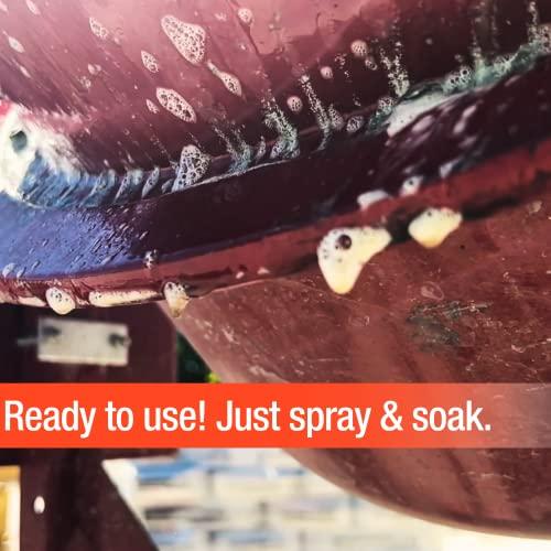 Tenon Tenon Concrete & Masonry Dissolver - Remove Concrete, Cement, Mortar, Grout, Stucco, and Masonry from Tools, Mixers, Wood, Plastic, and Aluminum, Ready-to-Use, Biodegradable, Non-Toxic (1 Gallon)