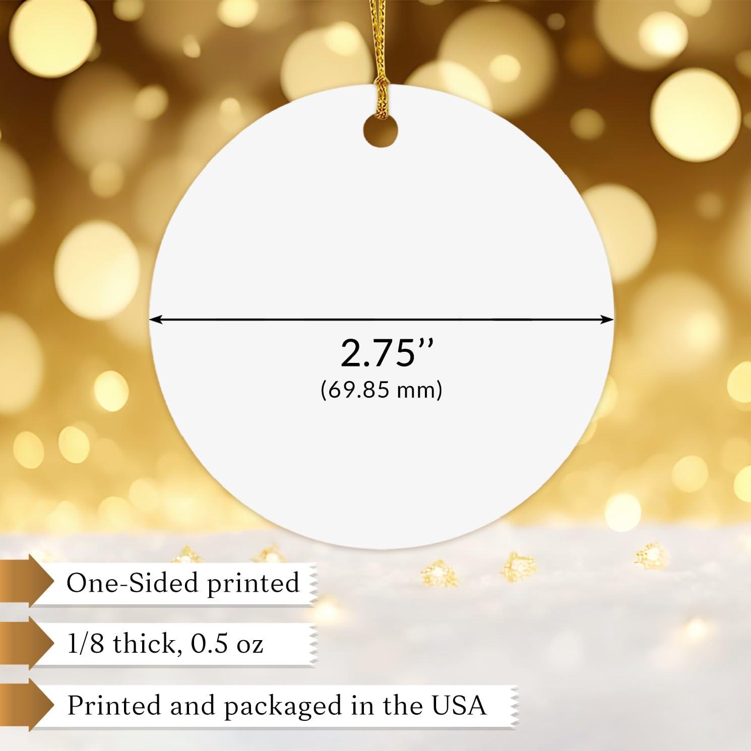 BixDori Rough Collie Memorial Ornament, Customized Rough Collie Sympathy Ornament with Name and Year, Personalized Dog Memorial Christmas Ornament 2024, Pet Loss Gifts, Rough Collie Remembrance Ornament Xmas