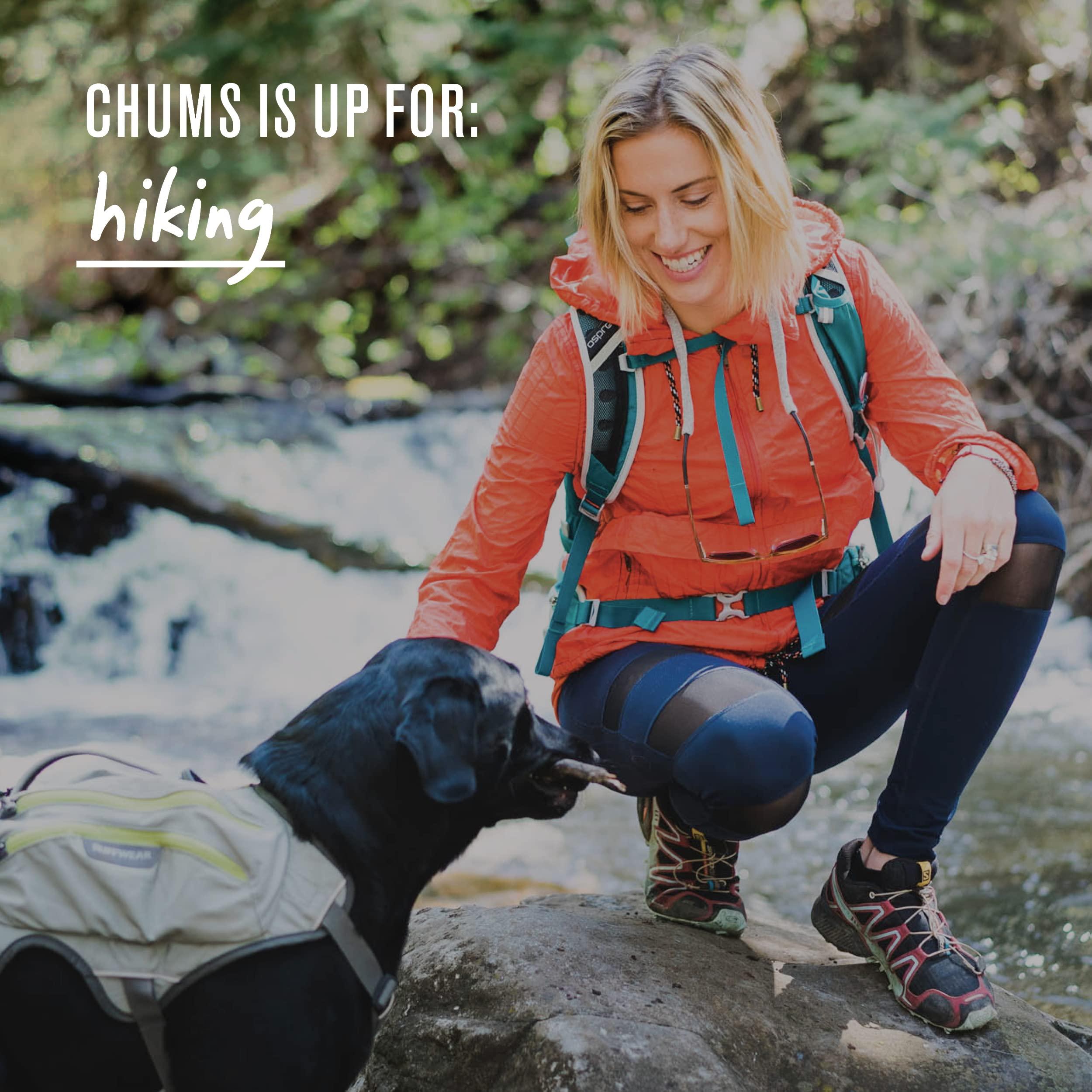 Chums Chums Original Large Frame Cotton Retainer - Unisex Eyewear Keeper for Sunglasses & Glasses - Adjustable Fit, Washable & Made in USA (Large-End, Black)