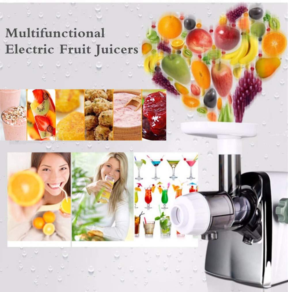Normal Household Wheatgrass Juicer Multifunctional Electric Fruit Juicers Orange Apple Slow Masticating Juice Extractor Machine Original Healthy Juice Cold Press Juicer Maker (White)